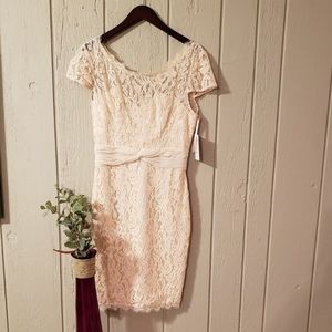 Blush Short Sleeve Lace "Novak" Cocktail Dress